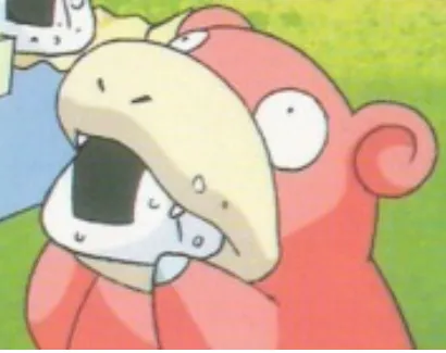 Xocoduda